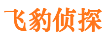 关岭侦探公司